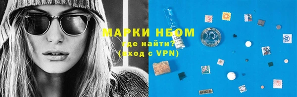 ПСИЛОЦИБИНОВЫЕ ГРИБЫ Заволжье