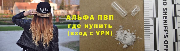 ПСИЛОЦИБИНОВЫЕ ГРИБЫ Заволжье