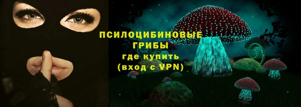 амф Елабуга