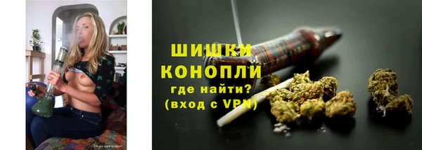 ПСИЛОЦИБИНОВЫЕ ГРИБЫ Заволжье