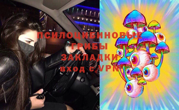 ПСИЛОЦИБИНОВЫЕ ГРИБЫ Заволжье