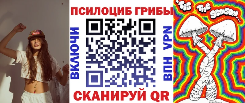 Псилоцибиновые грибы мицелий  Купить  Камышлов 
